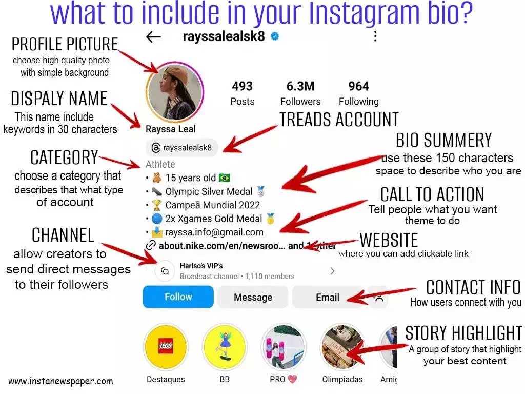 what to include in your Instagram bio