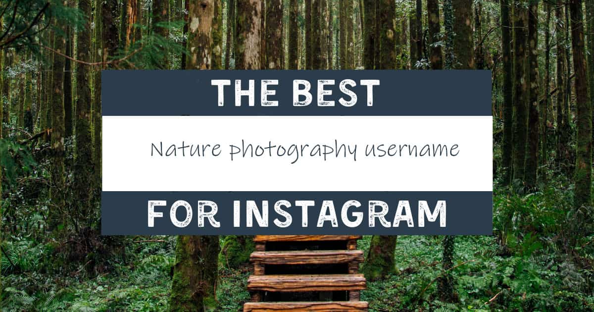 Nature photography Instagram username ideas: