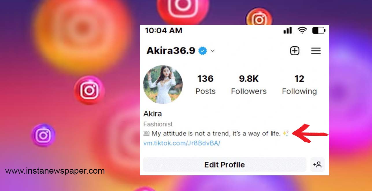 VIP Instagram Bio For Girls- Professional Insta bio