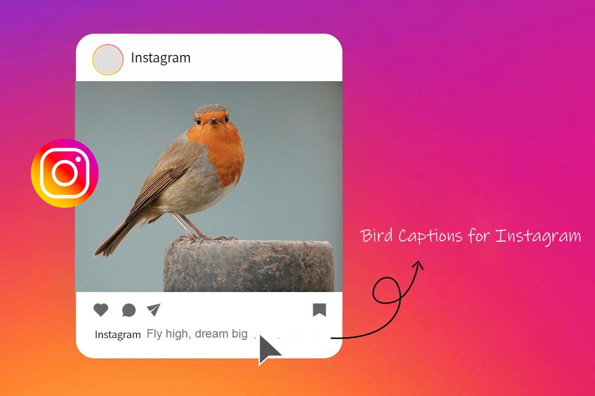 Bird Captions for Instagram 