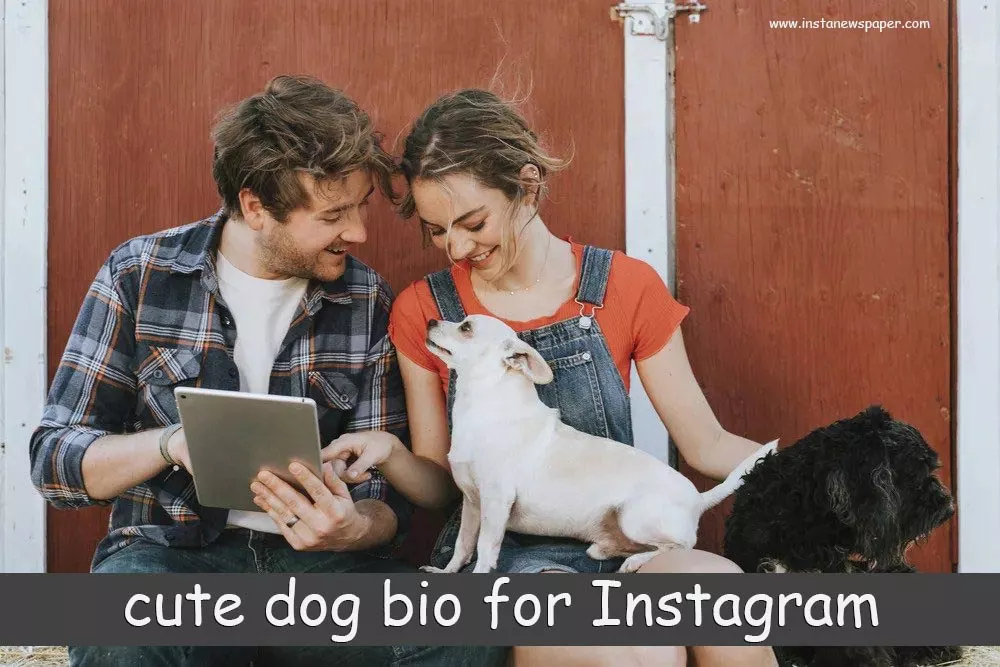 cute dog bio for Instagram