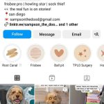 Best Instagram Bios For Your Doggy Day Care