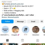 Dog instagram bio ideas