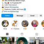 puppy instagram bio