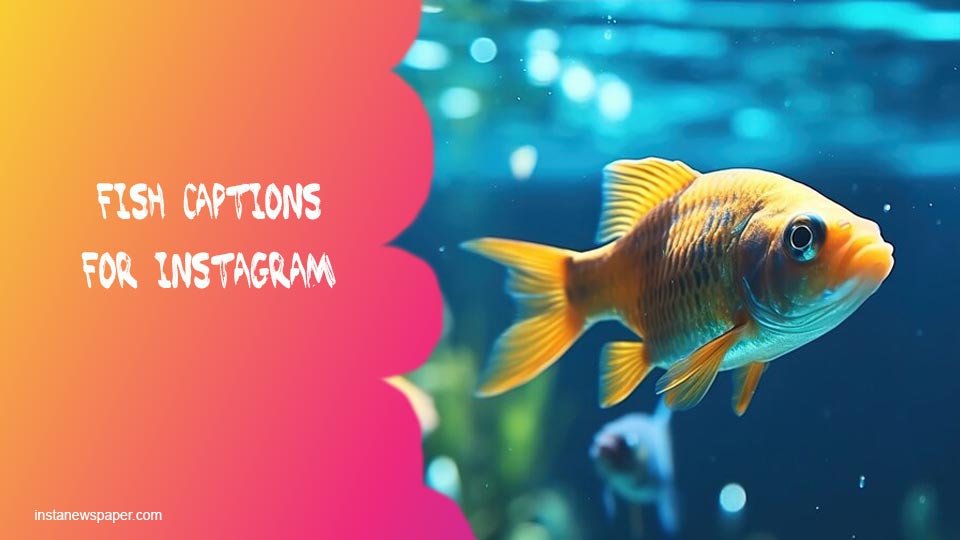 fish captions for Instagram