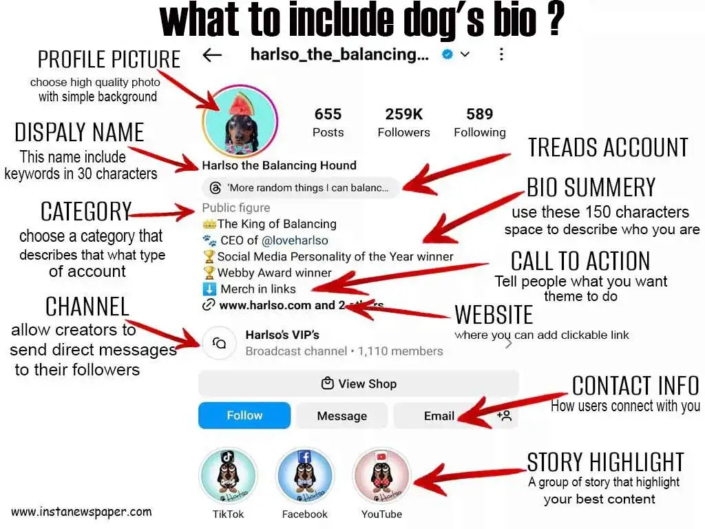what to include dog's bio