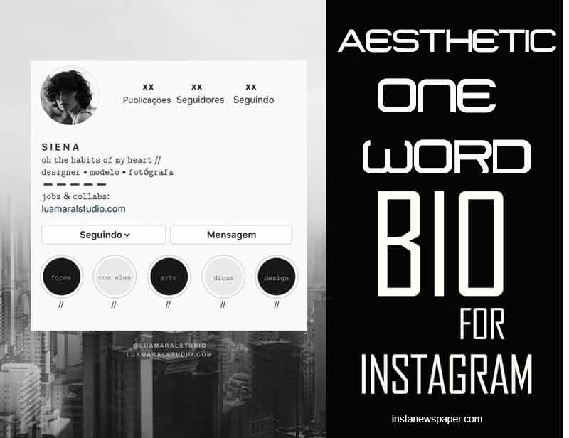aesthetic one word bio for Instagram