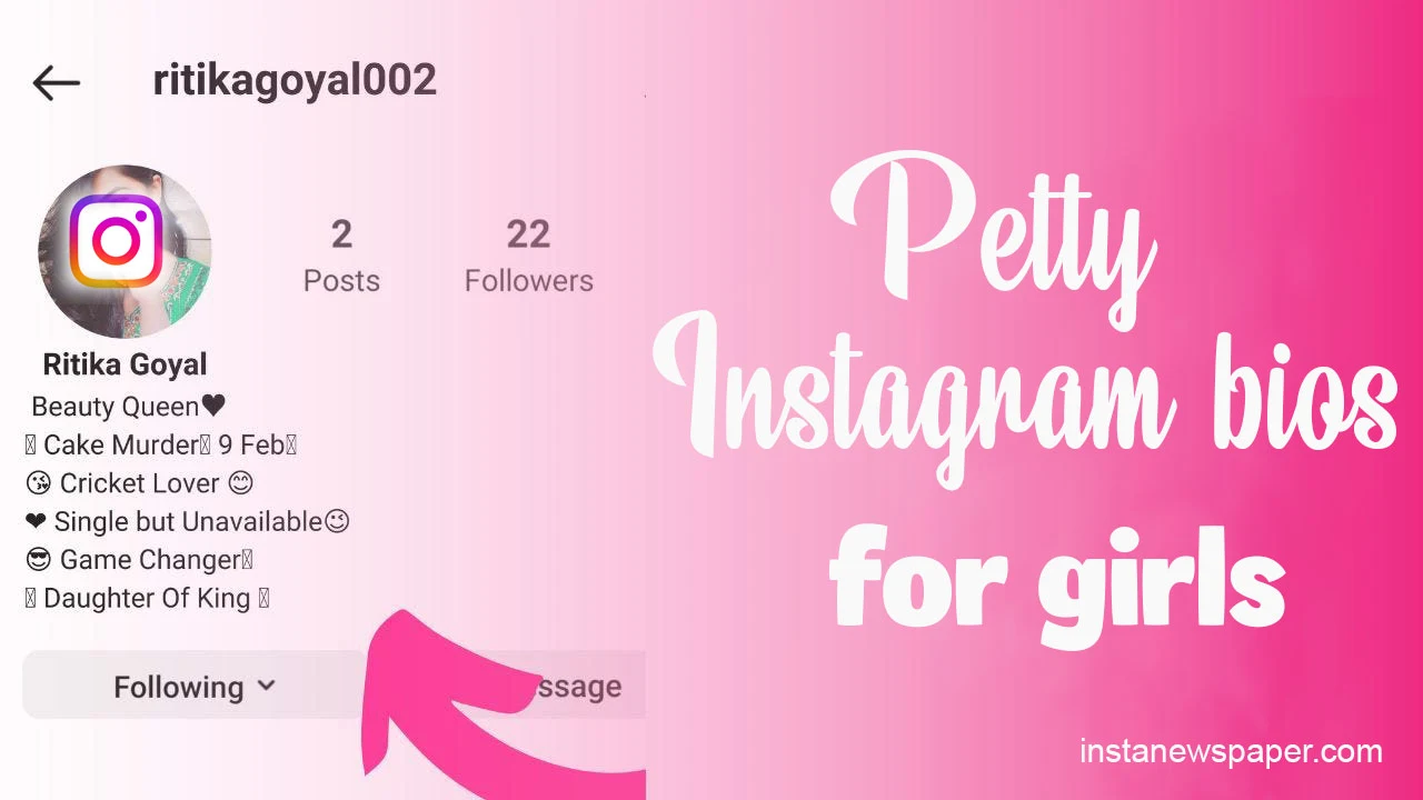 Petty instagram bios for girls